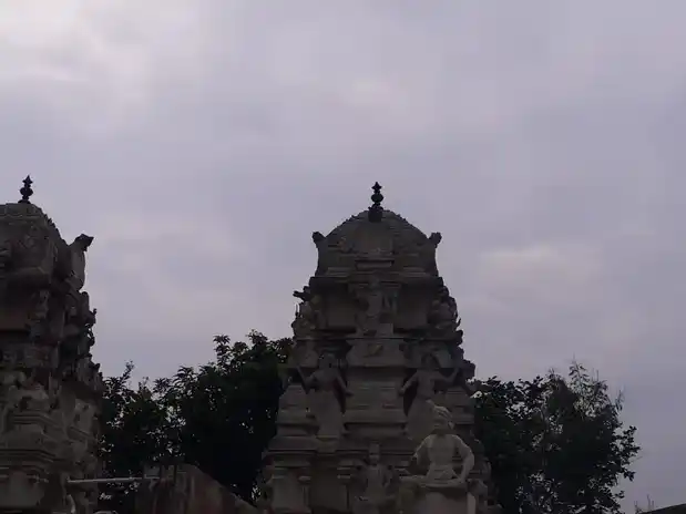 Arulmigu Natarayasamy Temple, Vadakattupalayam - 638301 அருள்மிகு நாட்ராயசுவாமி திருக்கோயில், Vadakattupalayam - 638301, Erode - Ancient Temple Architecture and History Image 5