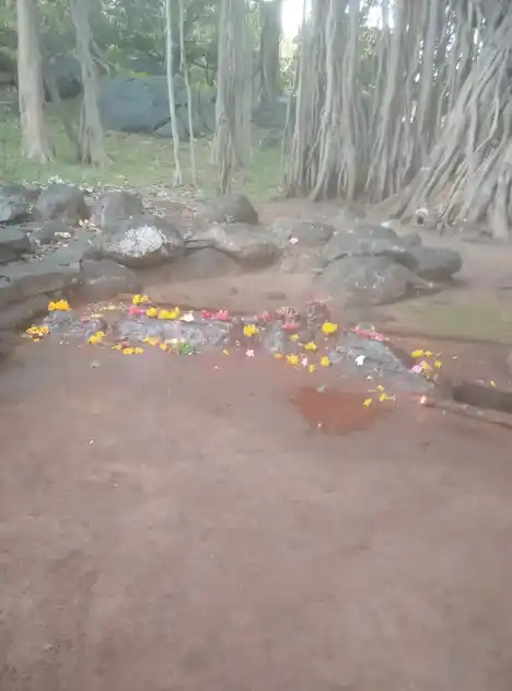 Arulmigu Natchiyar Vagaiyara Temple, Anamkombai, Sendamangalam - 637404 அருள்மிகு நாச்சிமார் திருக்கோயில், ஆனம்கோம்பை, சேந்தமங்கலம் - 637404, Namakkal - Ancient Temple Architecture and History Image 2