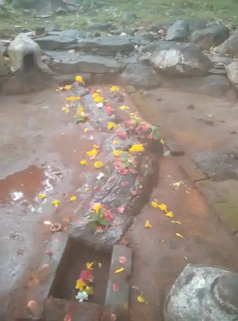 Arulmigu Natchiyar Vagaiyara Temple, Anamkombai, Sendamangalam - 637404 அருள்மிகு நாச்சிமார் திருக்கோயில், ஆனம்கோம்பை, சேந்தமங்கலம் - 637404, Namakkal - Ancient Temple Architecture and History Image 3