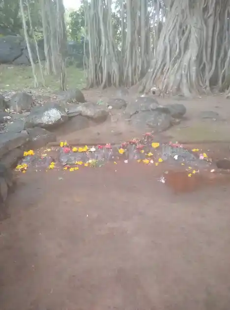 Arulmigu Natchiyar Vagaiyara Temple, Anamkombai, Sendamangalam - 637404 அருள்மிகு நாச்சிமார் திருக்கோயில், ஆனம்கோம்பை, சேந்தமங்கலம் - 637404, Namakkal - Ancient Temple Architecture and History Image 4