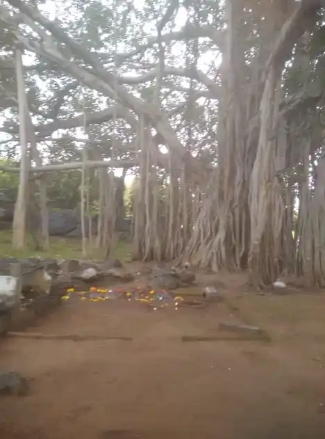 Arulmigu Natchiyar Vagaiyara Temple, Anamkombai, Sendamangalam - 637404 அருள்மிகு நாச்சிமார் திருக்கோயில், ஆனம்கோம்பை, சேந்தமங்கலம் - 637404, Namakkal - Ancient Temple Architecture and History Image 5