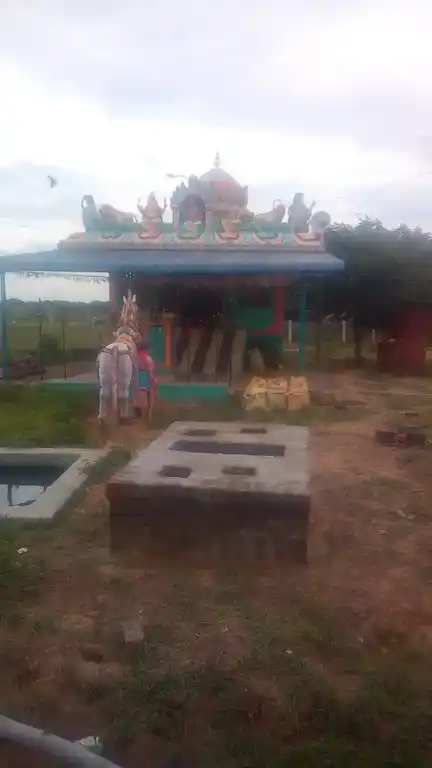 Arulmigu Natchiyaramman Temple, Kangiyampettai, Udaivartheeyanoor - 621901 அருள்மிகு நாச்சியாரம்மன் திருக்கோயில், காங்கியம்பேட்டை, Udaivartheeyanoor - 621901, Ariyalur - Ancient Temple Architecture and History Image 2