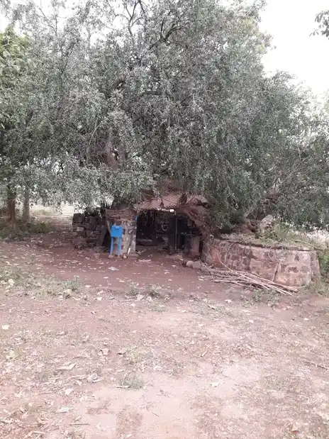 Arulmigu Natham Pidariyar Temple, Kiliyanoorpatti - 621002 Temple