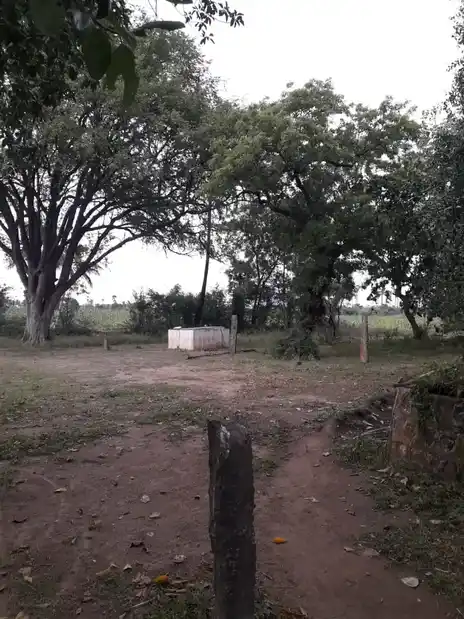 Arulmigu Natham Pidariyar Temple, Kiliyanoorpatti - 621002 Arulmigu Natham Pidariyar Temple, Kiliyanoorpatti - 621002, Thiruchirappalli - Ancient Temple Architecture and History Image 2