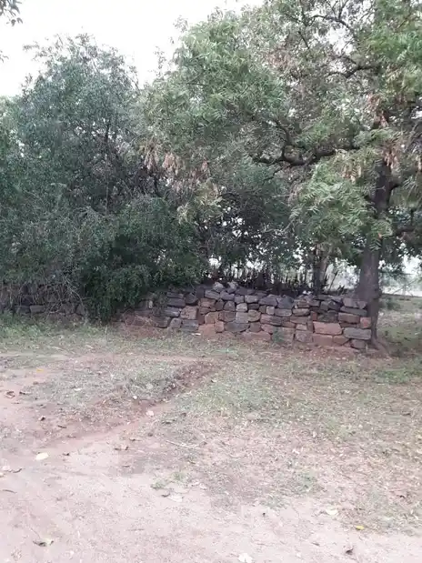 Arulmigu Natham Pidariyar Temple, Kiliyanoorpatti - 621002 Arulmigu Natham Pidariyar Temple, Kiliyanoorpatti - 621002, Thiruchirappalli - Ancient Temple Architecture and History Image 4