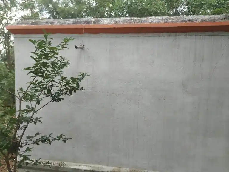 Arulmigu Natrayasamy Temple, Karapadi - 638459 அருள்மிகு நாட்ராயசுவாமி திருக்கோயில், Karapadi - 638459, Erode - Ancient Temple Architecture and History Image 3