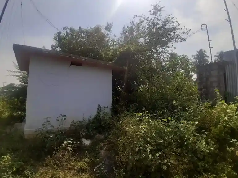 Arulmigu Natrayaswamy Temple, Pudur - 638002 அருள்மிகு நாட்ராயசாமி திருக்கோயில், Pudur - 638002, Erode - Ancient Temple Architecture and History Image 3