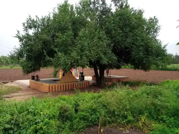 Arulmigu Nattar Karupuswamy Temple, Aniyapoor - 621303