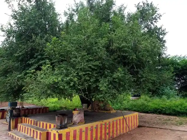 Arulmigu Nattar Karupuswamy Temple, Aniyapoor - 621303 Arulmigu Nattar Karupuswamy Temple, Aniyapoor - 621303, Thiruchirappalli - Ancient Temple Architecture and History Image 3