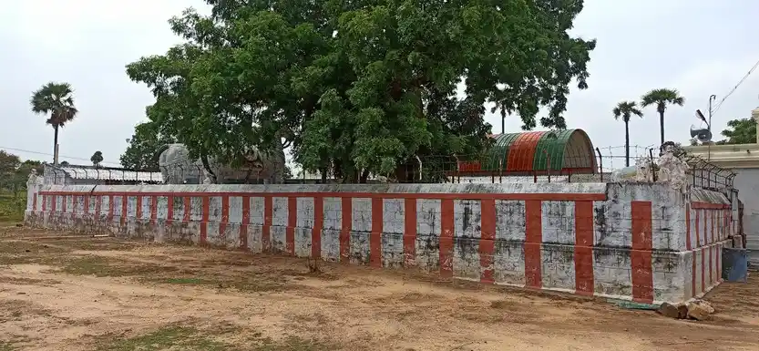 Arulmigu Nattarayasamy Temple, Mettupatti, Moolanur - 638106 அருள்மிகு நாட்டராயசாமி திருக்கோயில், மேட்டுப்பட்டி, மூலனுார் - 638106, Tiruppur - Ancient Temple Architecture and History Image 2