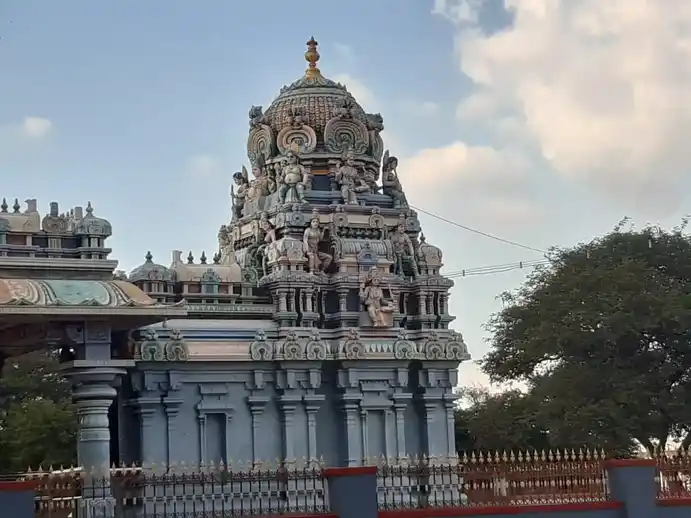 Arulmigu Nattarayaswamy Temple, Vellakovil, Kangayam - 638111 அருள்மிகு நாட்ராயசுவாமி திருக்கோயில், வெள்ளகோவில், Kangayam - 638111, Tiruppur - Ancient Temple Architecture and History Image 4