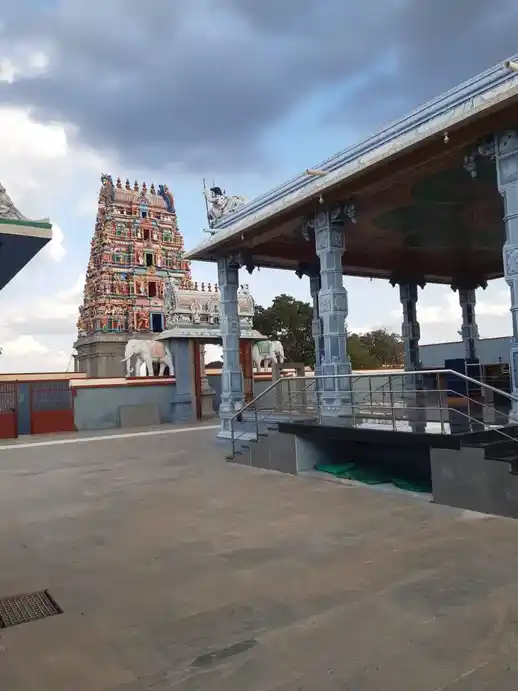 Arulmigu Nattarayaswamy Temple, Vellakovil, Kangayam - 638111 அருள்மிகு நாட்ராயசுவாமி திருக்கோயில், வெள்ளகோவில், Kangayam - 638111, Tiruppur - Ancient Temple Architecture and History Image 7