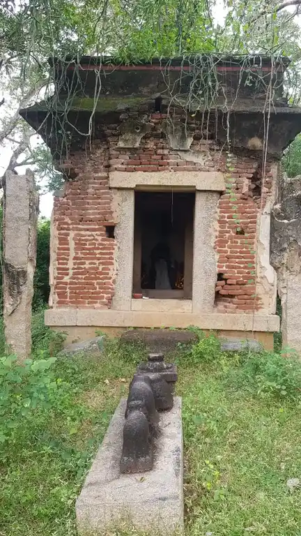 Arulmigu Navakattu Ayyanar, Aathinamilakiya Ayyanar, Panthudaiya Ayyanar, Karumalai Katha Ayyanar Temple, Svelankudi - 630203 அருள்மிகு. நவக்காட்டு அய்யனார், ஆதினமிளகி அய்யனார், பந்தலுடைய அய்யனார், சாத்தய்யனார் திருக்கோயில், Svelankudi, Svelankudi - 630203, Sivagangai - Ancient Temple Architecture and History Image 2