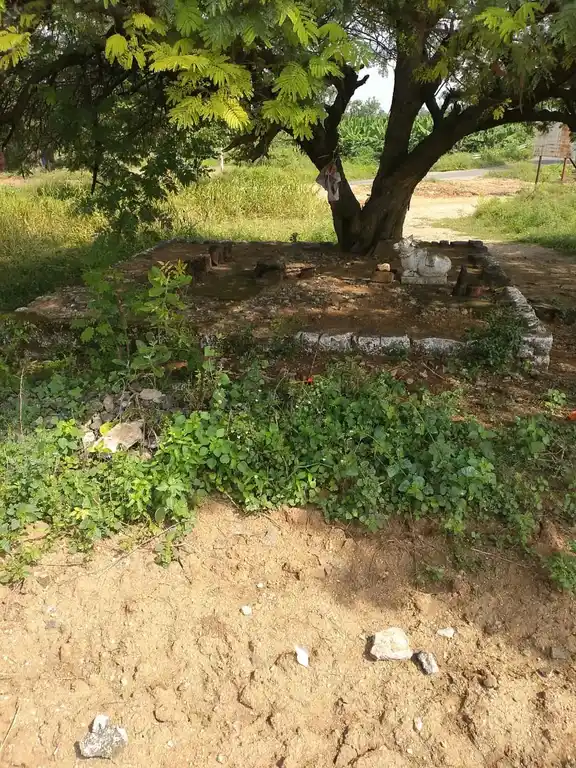 Arulmigu Navalnatham Pillaiyar Temple, Gonur - 636404 அருள்மிகு நாவல் நத்தம் பிள்ளையார் திருக்கோயில், Gonur - 636404, Salem - Ancient Temple Architecture and History Image 2