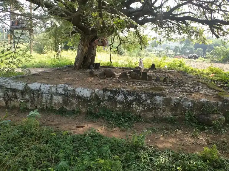 Arulmigu Navalnatham Pillaiyar Temple, Gonur - 636404 அருள்மிகு நாவல் நத்தம் பிள்ளையார் திருக்கோயில், Gonur - 636404, Salem - Ancient Temple Architecture and History Image 3