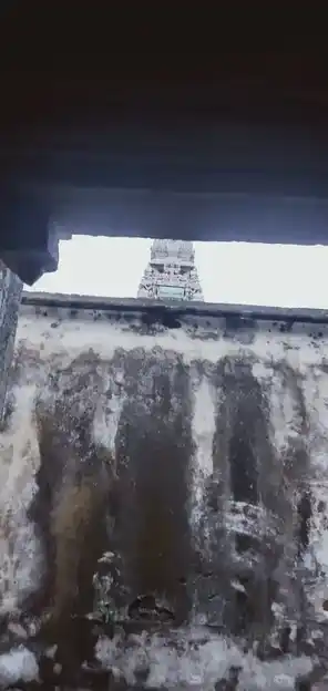 Arulmigu Navaneetha Krishna Swamy Temple, Veerakeralam Pudur - 627861 அருள்மிகு நவநீதகிருஷ்ணசுவாமி திருக்கோயில், வீரகேரளம் புதூர் - 627861, Tenkasi - Ancient Temple Architecture and History Image 5