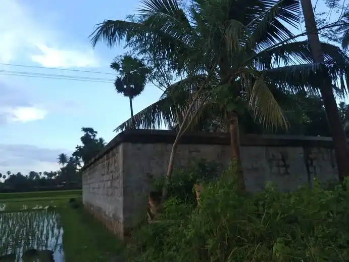 Arulmigu Navaneethakrishaperumal Temple, Arasalur - 621203 அருள்மிகு நவநீதகிருஷ்ண பெருமாள் திருக்கோயில், அரசலூர், அரசலூர் - 621203, Thiruchirappalli - Ancient Temple Architecture and History Image 3