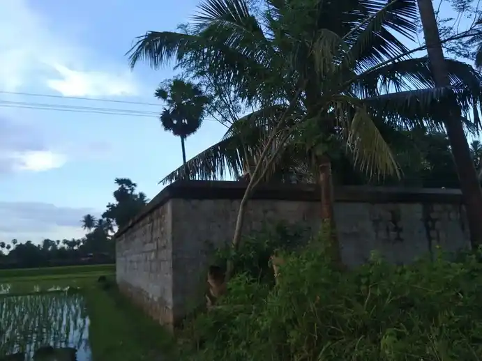 Arulmigu Navaneethakrishaperumal Temple, Arasalur - 621203 அருள்மிகு நவநீதகிருஷ்ண பெருமாள் திருக்கோயில், அரசலூர், அரசலூர் - 621203, Thiruchirappalli - Ancient Temple Architecture and History Image 4