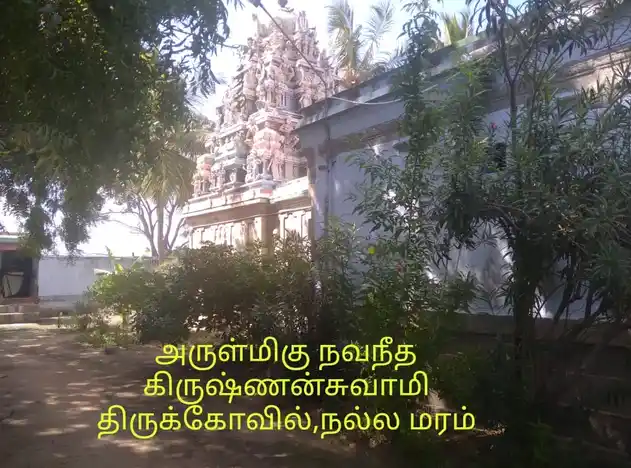 Arulmigu Navaneethakrishnasamy Temple, Nallamaram - 625702 Arulmigu Navaneethakrishnasamy Temple, Nallamaram - 625702, Madurai - Ancient Temple Architecture and History Image 5