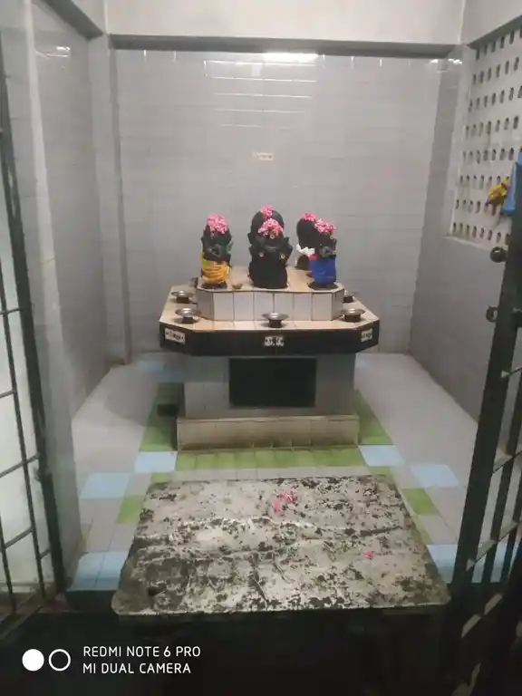 Arulmigu Navasakth Kaliamman Temple, Ashok Nagar, Chennai - 600083