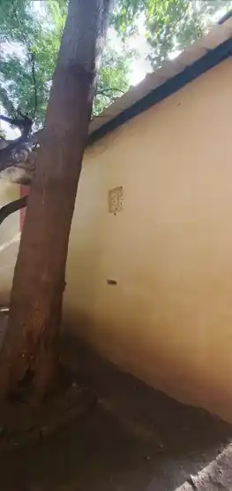 Arulmigu Navasakthi Nageshwarasamy Temple, Udumalpet, Udumalpet - 642126 அருள்மிகு நவசக்தி நாகேஸ்வரசுவாமி திருக்கோயில், Udumalpet, Udumalpet - 642126, Tiruppur - Ancient Temple Architecture and History Image 2