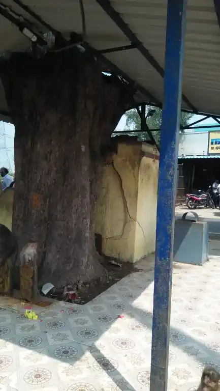 Arulmigu Navasakthi Vinayagar Temple, Near Bye Pass, Thamaraipakkam - 601103