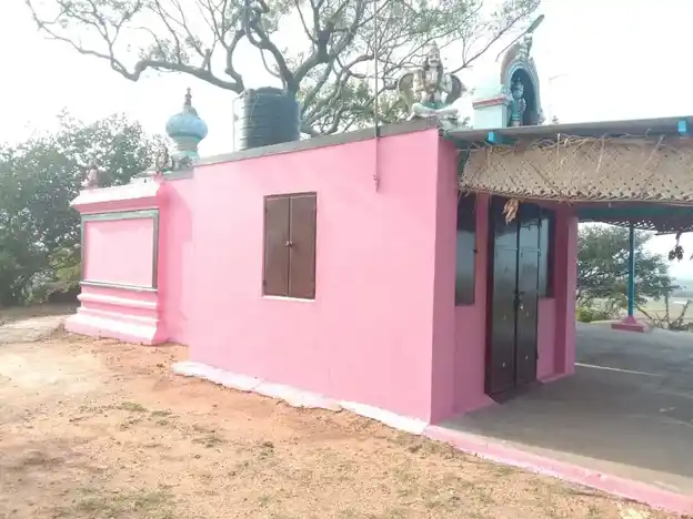 Arulmigu Navilkuttai Perumal Temple, Thethipalayam - 641010 அருள்மிகு நவில்குட்டை பெருமாள் திருக்கோயில், தீத்திபாளையம் - 641010, Coimbatore - Ancient Temple Architecture and History Image 4