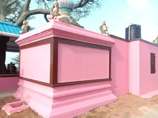 Arulmigu Navilkuttai Perumal Temple, Thethipalayam - 641010 அருள்மிகு நவில்குட்டை பெருமாள் திருக்கோயில், தீத்திபாளையம் - 641010, Coimbatore - Ancient Temple Architecture and History Image 6