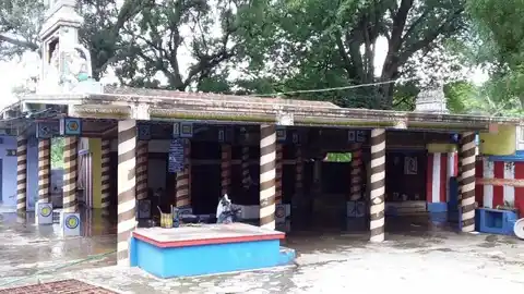 Arulmigu Nedunkavaludaiyar Sasthatirukovil, Kadayam - 627415 Temple