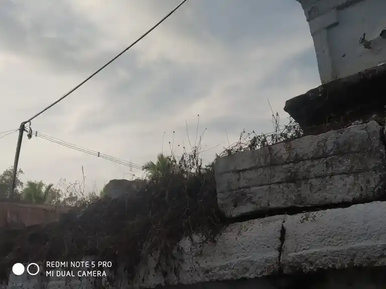 Arulmigu Neelakandeshwarar Temple, Kanjikovil - 638116 அருள்மிகு நீலகண்டேஸ்வரர் மற்றும் வரதராஜப் பெருமாள் திருக்கோயில், காஞ்சிக்கோவில் - 638116, Erode - Ancient Temple Architecture and History Image 4