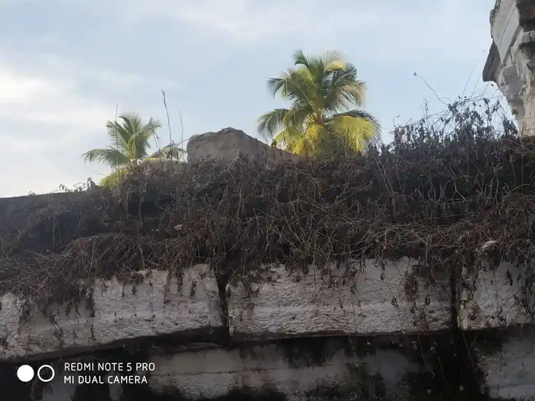 Arulmigu Neelakandeshwarar Temple, Kanjikovil - 638116 அருள்மிகு நீலகண்டேஸ்வரர் மற்றும் வரதராஜப் பெருமாள் திருக்கோயில், காஞ்சிக்கோவில் - 638116, Erode - Ancient Temple Architecture and History Image 5