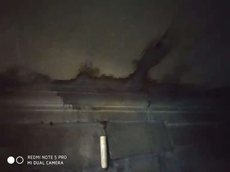 Arulmigu Neelakandeshwarar Temple, Kanjikovil - 638116 அருள்மிகு நீலகண்டேஸ்வரர் மற்றும் வரதராஜப் பெருமாள் திருக்கோயில், காஞ்சிக்கோவில் - 638116, Erode - Ancient Temple Architecture and History Image 7