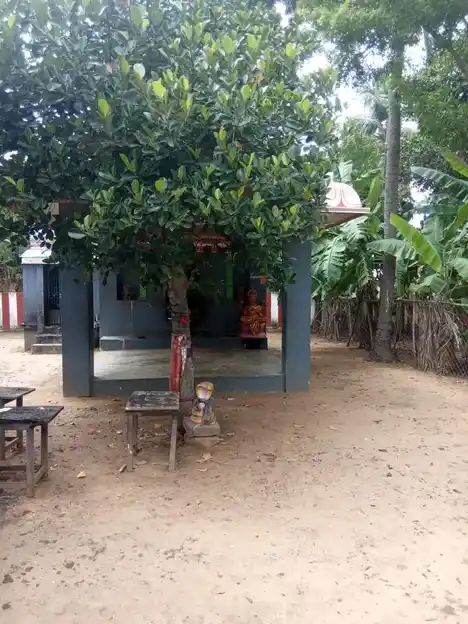 Arulmigu Neelakandeswarar Temple, Lakshmangudi - 614102 அருள்மிகு நீலகண்டேஸ்வரர் திருக்கோயில், Lakshmangudi - 614102, Thiruvarur - Ancient Temple Architecture and History Image 6