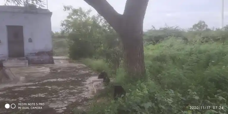 Arulmigu Neelakandi Arulmiguman Temple, Sampavar Vadakarai - 627856 Arulmigu Neelakandi Arulmiguman Temple, Sampavar Vadakarai - 627856, Tenkasi - Ancient Temple Architecture and History Image 4