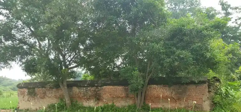 Arulmigu Neelakendeswarar Temple, Allikkuzhi - 602023 அருள்மிகு நீலகண்டீஸ்வரர் மற்றும் அல்லியம்மன் திருக்கோயில், அல்லிக்குழி - 602023, Tiruvallur - Ancient Temple Architecture and History Image 9