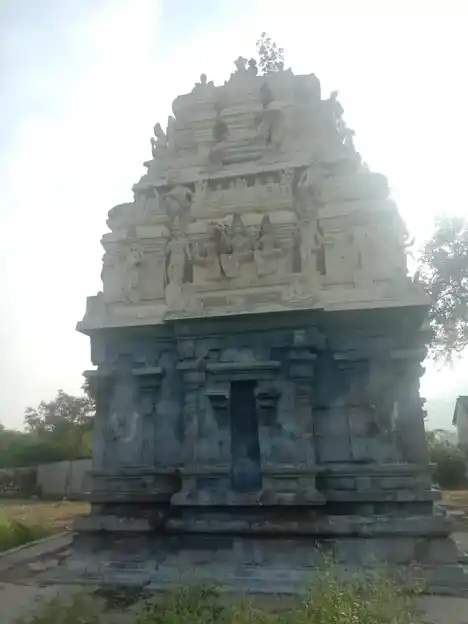 Arulmigu Neelamega Varadharaja Perumal Temple, Paakam - 605801 அருள்மிகு நீலமேகவரதராஜப்பெருமாள் திருக்கோயில், Paakam, Paakam - 605801, Viluppuram - Ancient Temple Architecture and History Image 2