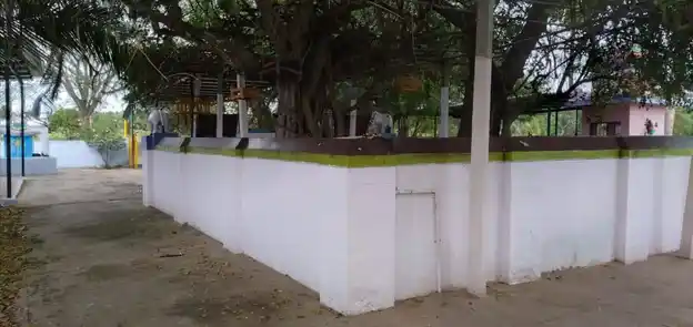 Arulmigu Neeli Amman Temple, Chinnapudur - 642207 அருள்மிகு நீலியம்மன் திருக்கோயில், Chinnapudur - 642207, Tiruppur - Ancient Temple Architecture and History Image 3