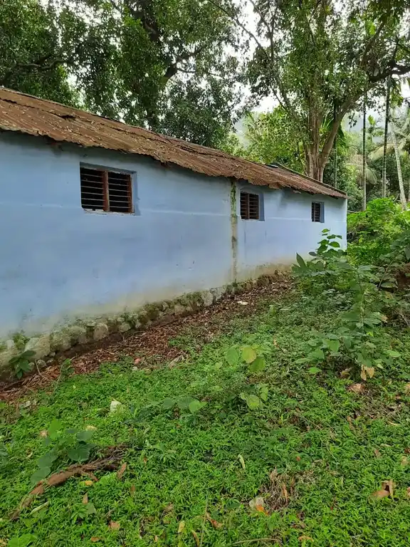 Arulmigu Neeli Arulmiguman Temple, Shenkottai - 627809 Arulmigu Neeli Arulmiguman Temple, Shenkottai - 627809, Tenkasi - Ancient Temple Architecture and History Image 3