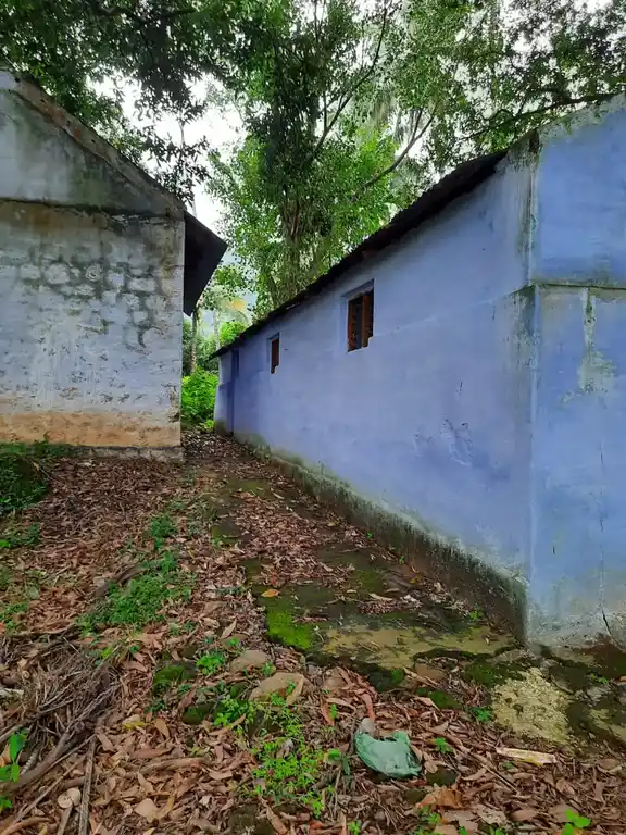 Arulmigu Neeli Arulmiguman Temple, Shenkottai - 627809 Arulmigu Neeli Arulmiguman Temple, Shenkottai - 627809, Tenkasi - Ancient Temple Architecture and History Image 4