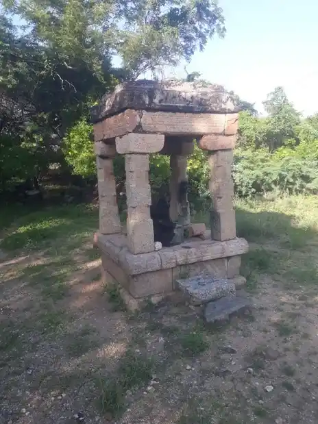 Arulmigu Neeliaamn Temple, Kallipalayam, Aratholuvu - 638701 அருள்மிகு நீலியம்மன் திருக்கோயில், காளிபாளையம், ஆரத்தொழுவு - 638701, Tiruppur - Ancient Temple Architecture and History Image 6