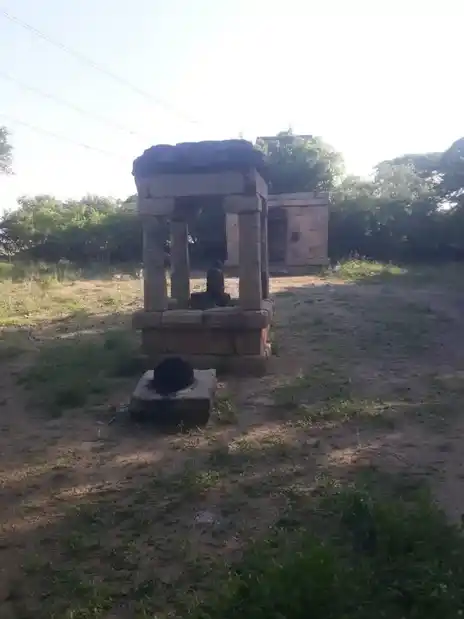 Arulmigu Neeliaamn Temple, Kallipalayam, Aratholuvu - 638701 அருள்மிகு நீலியம்மன் திருக்கோயில், காளிபாளையம், ஆரத்தொழுவு - 638701, Tiruppur - Ancient Temple Architecture and History Image 7