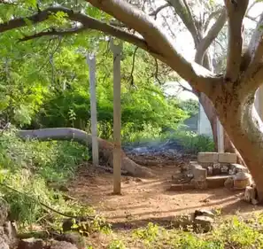 Arulmigu Neeliaamn Temple, Kovilpalayam, M.Komarapalayam - 638106 அருள்மிகு நீலியம்மன் திருக்கோயில், கோவில்பாளையம், M.குமாரபாளையம் - 638106, Tiruppur - Ancient Temple Architecture and History Image 2