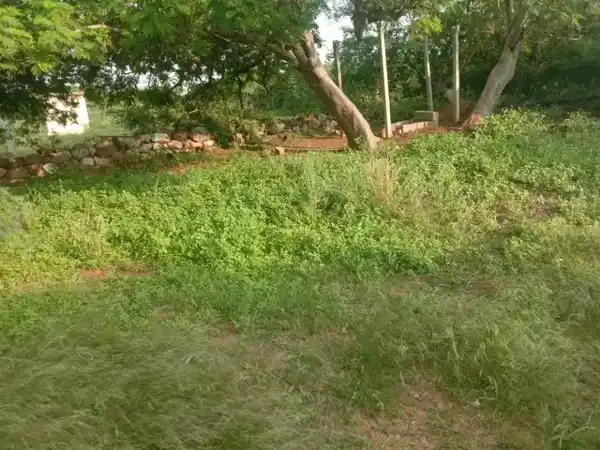 Arulmigu Neeliaamn Temple, Kovilpalayam, M.Komarapalayam - 638106 அருள்மிகு நீலியம்மன் திருக்கோயில், கோவில்பாளையம், M.குமாரபாளையம் - 638106, Tiruppur - Ancient Temple Architecture and History Image 3