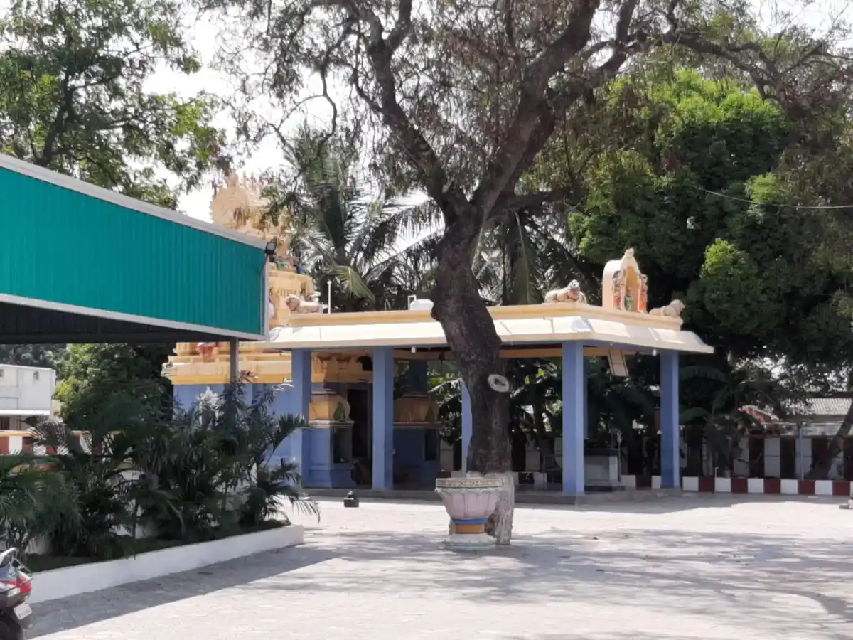 Arulmigu Neeliaththal Temple, Neelambur - 641062 அருள்மிகுநீலியாத்தாள் திருக்கோயில், Neelambur - 641062, Coimbatore - Ancient Temple Architecture and History Image 3