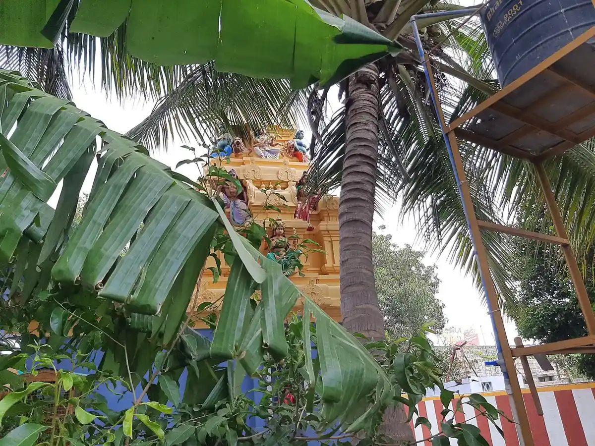 Arulmigu Neeliaththal Temple, Neelambur - 641062 அருள்மிகுநீலியாத்தாள் திருக்கோயில், Neelambur - 641062, Coimbatore - Ancient Temple Architecture and History Image 7