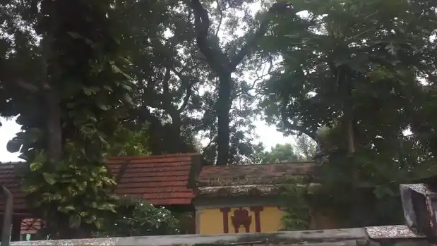 Arulmigu Neernirai Kavudaiya Kandan Sastha Temple, Veeranarayanamangalam, Thazhakkudi - 629851 Arulmigu Neernirai Kavudaiya Kandan Sastha Temple, Veeranarayanamangalam, Thazhakkudi - 629851, Kanyakumari - Ancient Temple Architecture and History Image 4