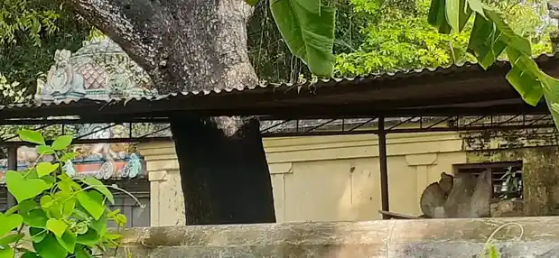 Arulmigu Nellikollaimariyamman Temple, Kattalaichery - 609203 அருள்மிகு நெல்லிக்கொல்லை மாரியம்மன் திருக்கோயில், Kattalaichery - 609203, Mayiladuthurai - Ancient Temple Architecture and History Image 3