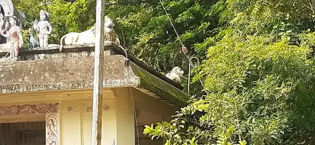 Arulmigu Nellikollaimariyamman Temple, Kattalaichery - 609203 அருள்மிகு நெல்லிக்கொல்லை மாரியம்மன் திருக்கோயில், Kattalaichery - 609203, Mayiladuthurai - Ancient Temple Architecture and History Image 4