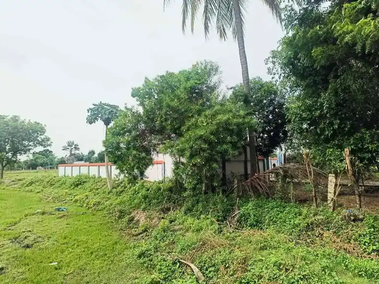 Arulmigu Nethrabatheeswarar Swamy Temple, Sembiankilari - 613102 அருள்மிகு நேத்ரபதீஸ்வரசுவாமி திருக்கோயில், Sembiankilari - 613102, Thanjavur - Ancient Temple Architecture and History Image 7