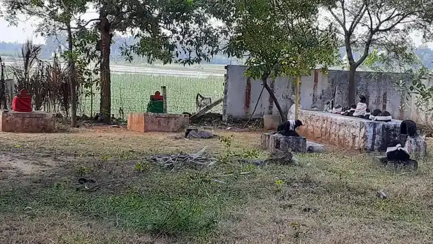 Arulmigu Nilamudaya Kandan Sastha Temple, Cholapuram, Chenbagaramanputhoor - 629304 அருள்மிகு நிலமுடையகண்டன்சாஸ்தா திருக்கோயில், Cholapuram, Chenbagaramanputhoor - 629304, Kanyakumari - Ancient Temple Architecture and History Image 2